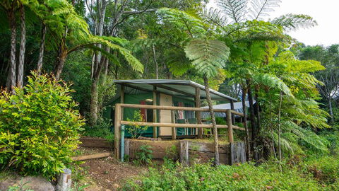 Binna Burra Rainforest Campsite - Sunshine Coast Tourism 0