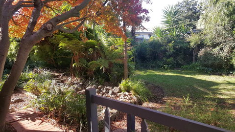 Bird N Branch - Sunshine Coast Tourism 1