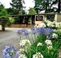 Blackheath Motor Inn - Holiday Sunshine Coast