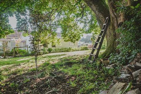 Blacksmiths Cottage - Sunshine Coast Tourism 1