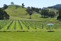 Book Mount Cole Accommodation Vacations Sunshine Coast Tourism Sunshine Coast Tourism