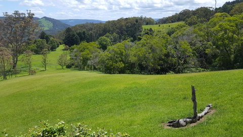 Blue Summit Cottages - Holiday Sunshine Coast 3