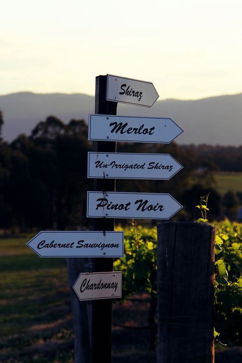 Blueberry Hill Vineyard Villa - Sunshine Coast Tourism 3
