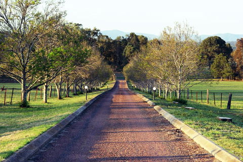 Blueberry Hill Vineyard Villa - Sunshine Coast Tourism 0