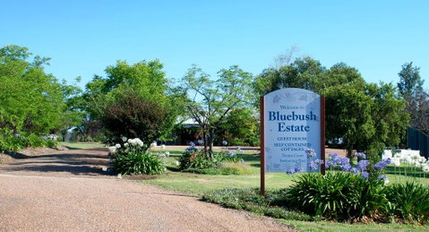 Bluebush Estate - Sunshine Coast Tourism 0