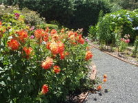 Book Boat Harbour Accommodation Vacations Sunshine Coast Tourism Sunshine Coast Tourism