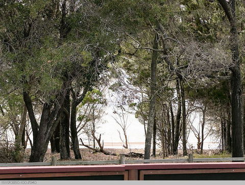 Boat Harbour Studio Apartments And Villas - Sunshine Coast Tourism 2