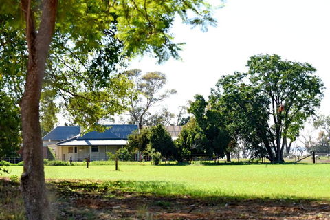 The Jetty Hut - Lake Frontage Barmera Riverland - Sunshine Coast Tourism 2