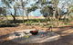The Jetty Hut - Lake Frontage Barmera Riverland - thumb 3