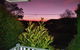 The Junction Estate COOL CALM COZY A Home N Host Property - thumb 1