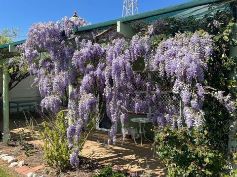 The Merredin Treasury Cottage - Holiday Sunshine Coast 1