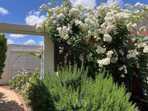 The Merredin Treasury Cottage - Holiday Sunshine Coast 2