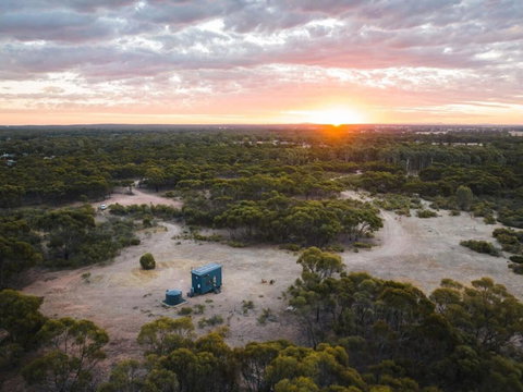 Tiny Eli - Sunshine Coast Tourism 2