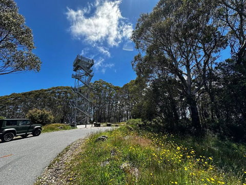 Tiny House At Gilderoy Valley Views - Sunshine Coast Tourism 1