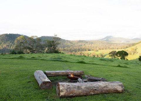 Tiny Zoe - Sunshine Coast Tourism 3