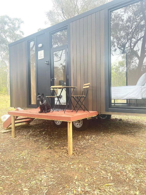 Whispering Wallaby By Tiny Away - Holiday Sunshine Coast 1