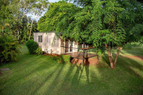 Banyan Tree - Sunshine Coast Tourism 0