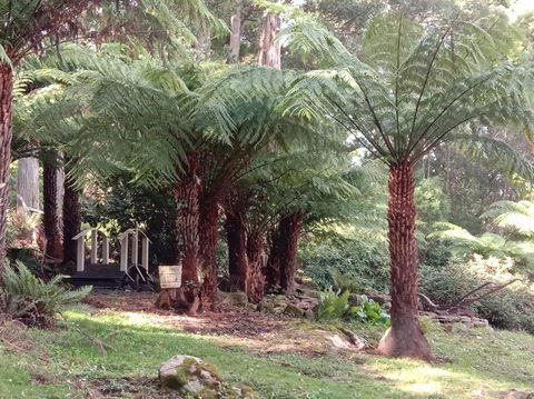 Deer Cottage - Sunshine Coast Tourism 3