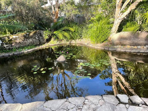 Your Place At Belongil Beach - Holiday Sunshine Coast 3