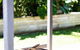 Ziggys Erowal Bay - thumb 3