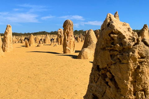 Pinnacles Desert (Private) Day Tour - Sunshine Coast Tourism 0