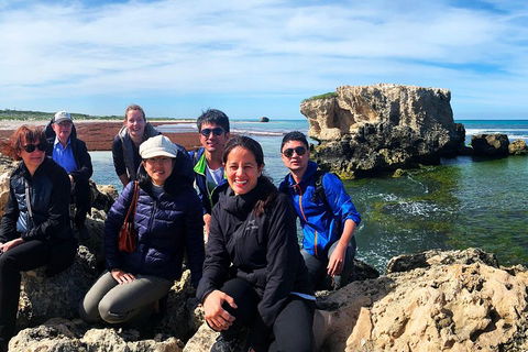 Pinnacles Desert (Private) Day Tour - Sunshine Coast Tourism 4