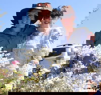 Spring Wildflower Private Day Tours - Sunshine Coast Tourism