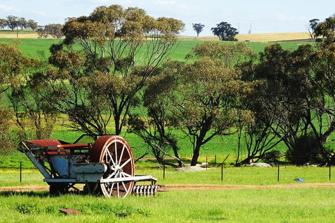 Spring Wildflower (Private) Day Tours - Sunshine Coast Tourism 4