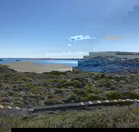 Penguin Island And Fremantle - Canoe Chocolate  Coffee - Sunshine Coast Tourism