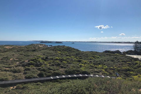 Penguin Island And Fremantle - Canoe, Chocolate & Coffee - Sunshine Coast Tourism 0