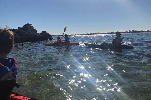 Penguin Island And Fremantle - Canoe, Chocolate & Coffee - Sunshine Coast Tourism 1