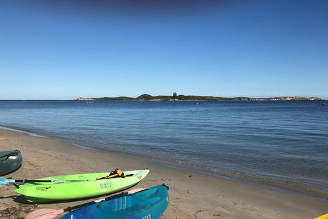 Penguin Island And Fremantle - Canoe, Chocolate & Coffee - Sunshine Coast Tourism 2