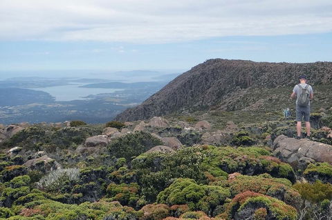 Kunanyi/Mt Wellington Explorer Bus - One Way Tour - Sunshine Coast Tourism 0