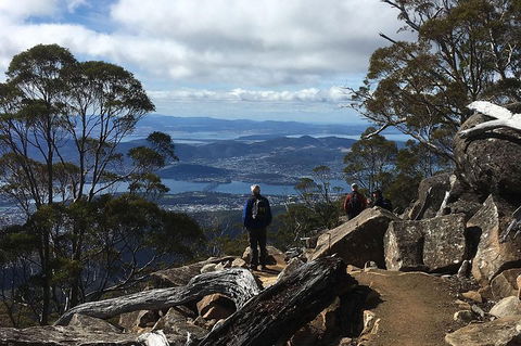 Kunanyi/Mt Wellington Explorer Bus - One Way Tour - Sunshine Coast Tourism 2