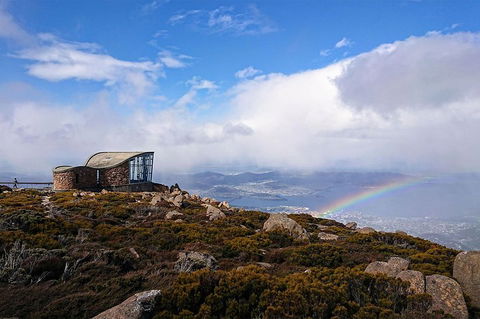 Kunanyi/Mt Wellington Explorer Bus - One Way Tour - Sunshine Coast Tourism 3