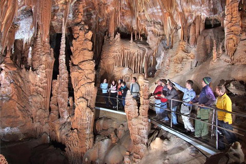 Private Tour: Jenolan Caves & Blue Mountains In A Day - Sunshine Coast Tourism 0