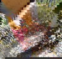 Gay-Wu Woman's 5 Day Yolngu Homeland Tour - Sunshine Coast Tourism