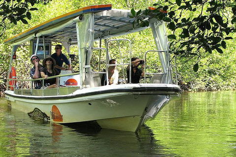 5-Day Best Of Cairns With Daintree, Kuranda, And Great Barrier Reef - Sunshine Coast Tourism 1
