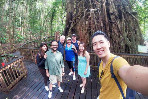 Cairns 4WD Waterfall And Rainforest Tour Including Kuranda Scenic Railway - Sunshine Coast Tourism 0