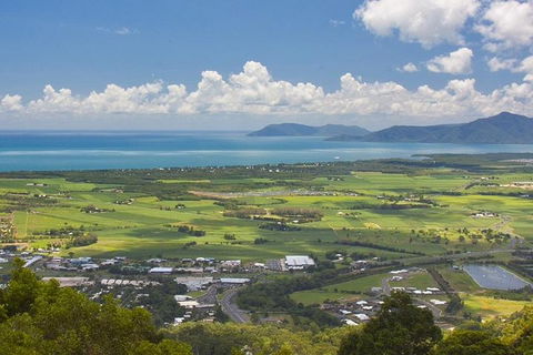 Cairns 4WD Waterfall And Rainforest Tour Including Kuranda Scenic Railway - Sunshine Coast Tourism 5