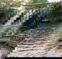 Paronella Park and Millaa Millaa Falls Full-day Tour from Cairns - Sunshine Coast Tourism