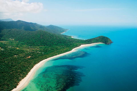 Cape Tribulation, Mossman Gorge, And Daintree Rainforest Premium Day Tour - Sunshine Coast Tourism 2