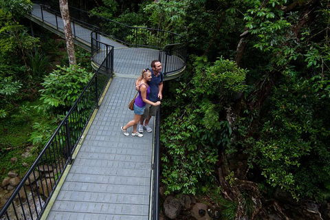 Cape Tribulation, Mossman Gorge, And Daintree Rainforest Premium Day Tour - Sunshine Coast Tourism 3