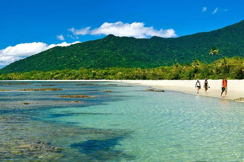 Private Daintree National Park Day Tour From Cairns Including Cape Tribulation And Mossman Gorge - Sunshine Coast Tourism 0