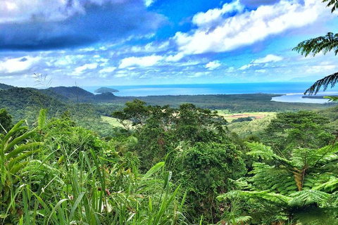 Private Daintree National Park Day Tour From Cairns Including Cape Tribulation And Mossman Gorge - Sunshine Coast Tourism 2