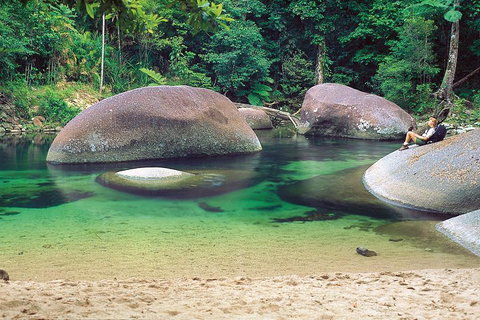 Private Daintree National Park Day Tour From Cairns Including Cape Tribulation And Mossman Gorge - Sunshine Coast Tourism 4