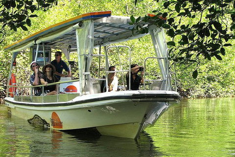 Private Daintree National Park Day Tour From Cairns Including Cape Tribulation And Mossman Gorge - Sunshine Coast Tourism 5
