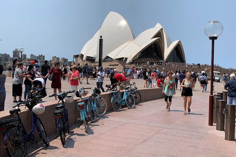 The Big Easy - Sunshine Coast Tourism 4