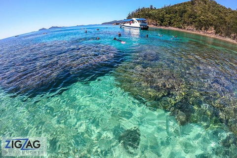 Whitehaven Beach Day Tour With Snorkel In Whitsundays Island - Sunshine Coast Tourism 5