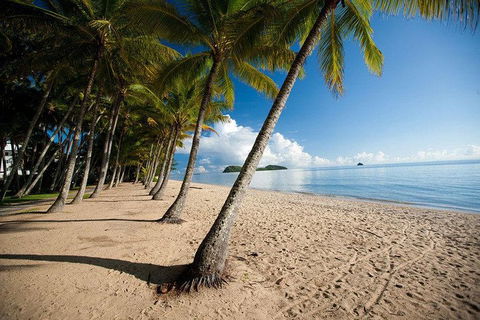 Kuranda Day Trip From Port Douglas Upgrade To Skyrail & Scenic Train Available - Holiday Sunshine Coast 1